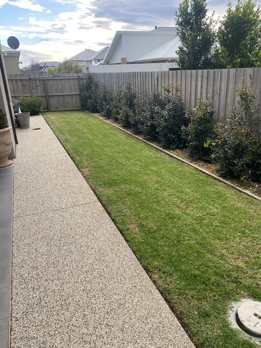 New garden bed with young hedging planted along a fence beside a freshly edged lawn, landscaping in Geelong