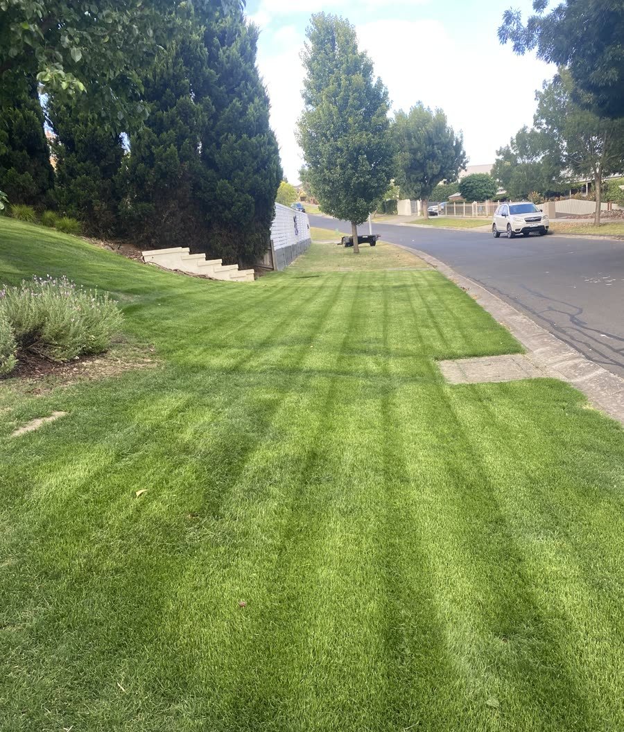 Freshly mown and edged front lawn with crisp stripes, lawn mowing in Geelong by WJ Sanderson Outdoor
