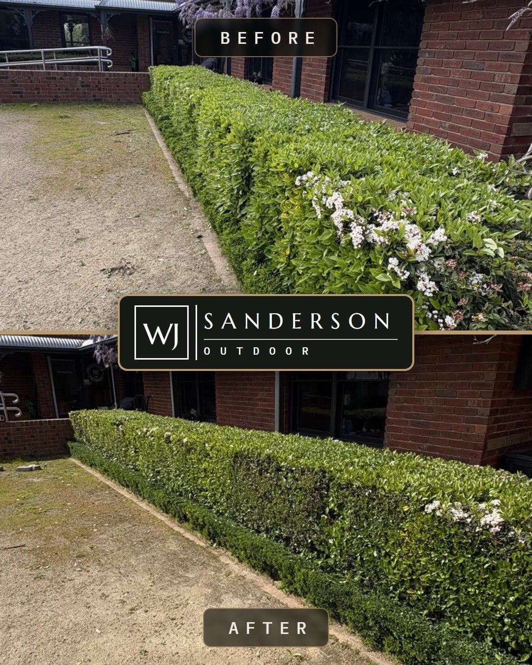 Before and after hedge trimming in Geelong: an overgrown veranda hedge cut back to a clean straight line