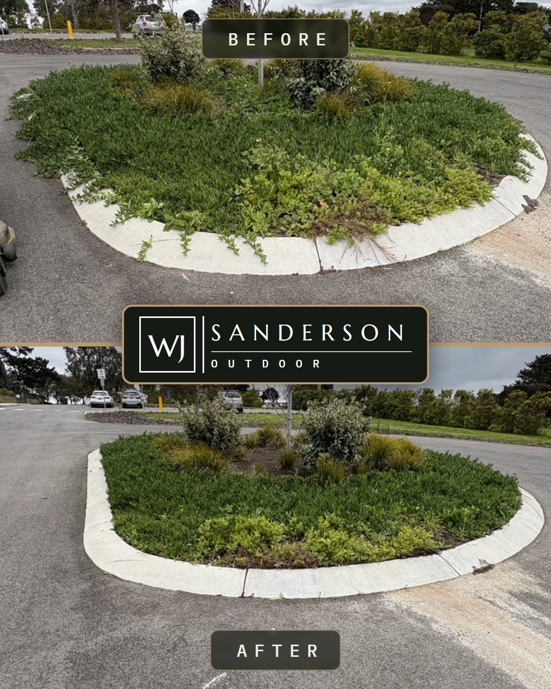 Before and after garden clean up in Geelong: an overgrown garden bed weeded and restored